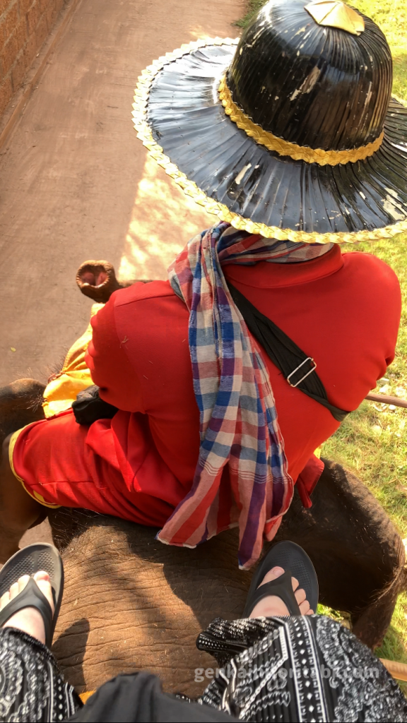 バンコク旅行 ゾウ乗り体験 正直レビュー