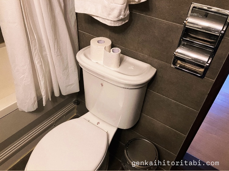 仁寺洞クラウンホテル　トイレは流せる？
